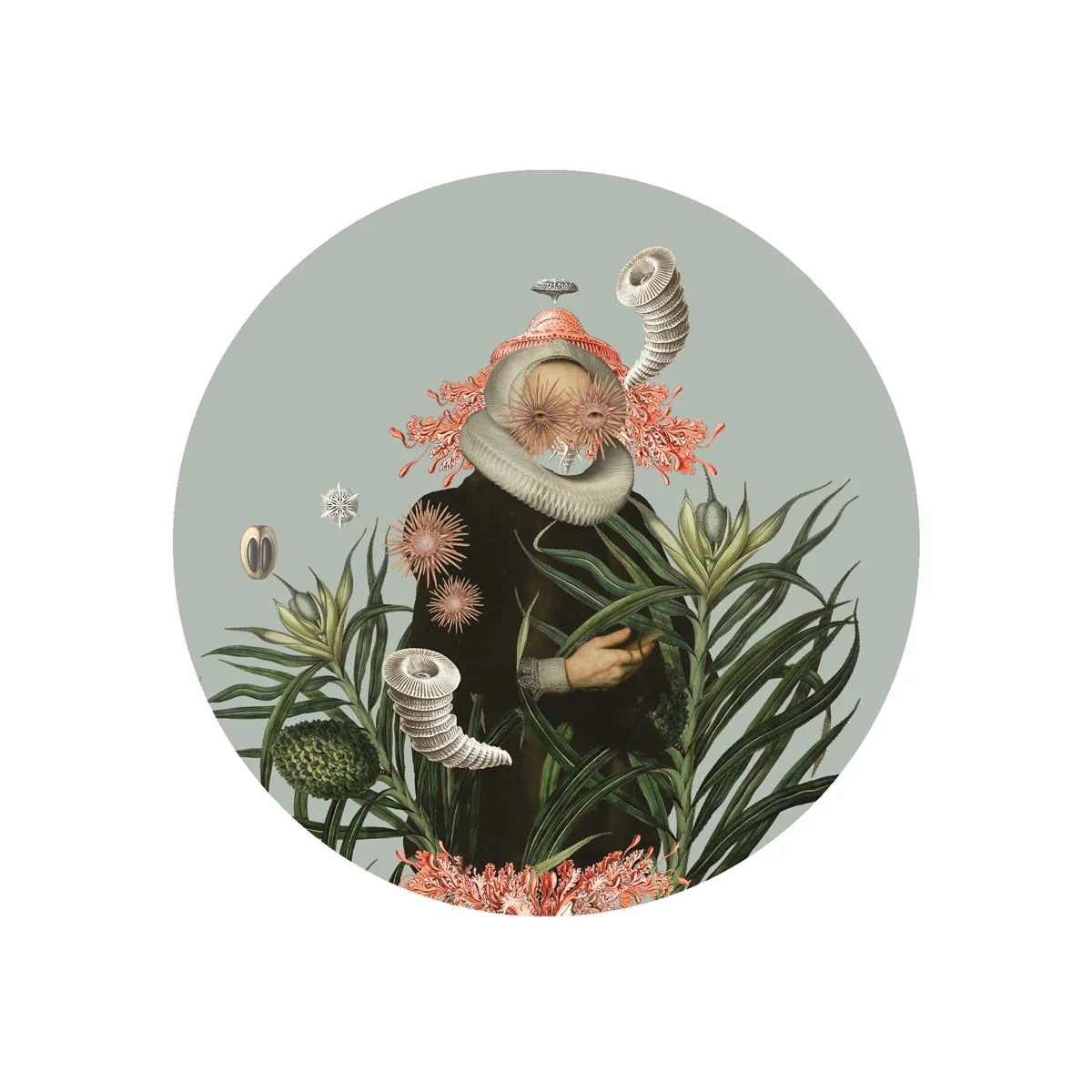 Miniatura 1